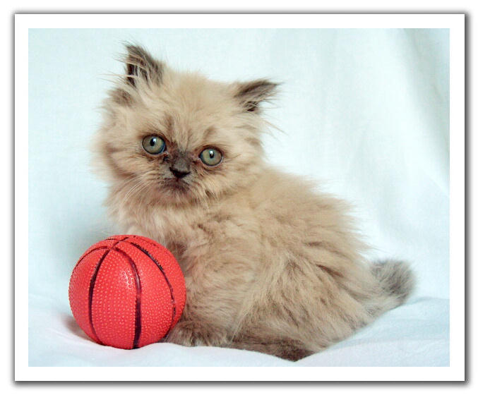 148947,xcitefun-very-cute-images-2-.jpg
