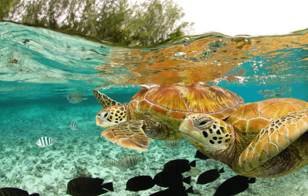 149303,xcitefun-attractive-wildlife-photography-3-.jpg