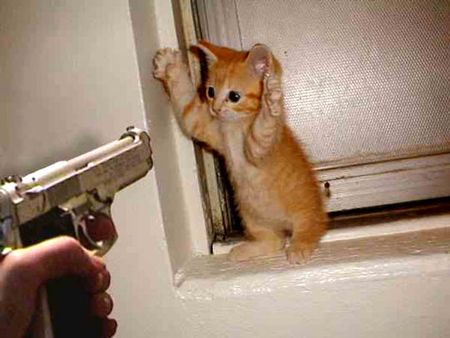 150169,xcitefun-funny-and-strange-must-see-8.jpg