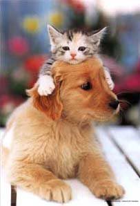 150174,xcitefun-funny-and-strange-must-see-3.jpg