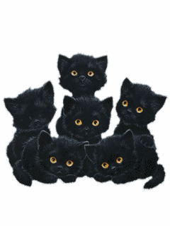 150178,xcitefun-funny-and-strange-must-see-16.gif