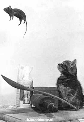 150180,xcitefun-funny-and-strange-must-see-14.gif