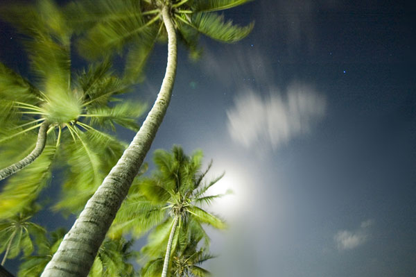 159177,xcitefun-amazing-night-photos19.jpg