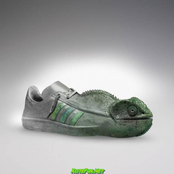 adidas shoes advertisement