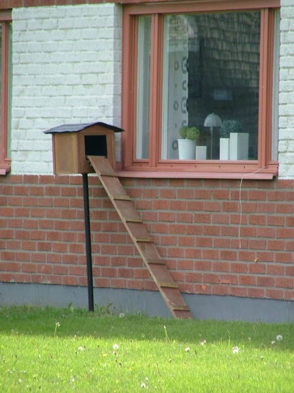 175335,xcitefun-helping-your-cats-move-around-4.jpg