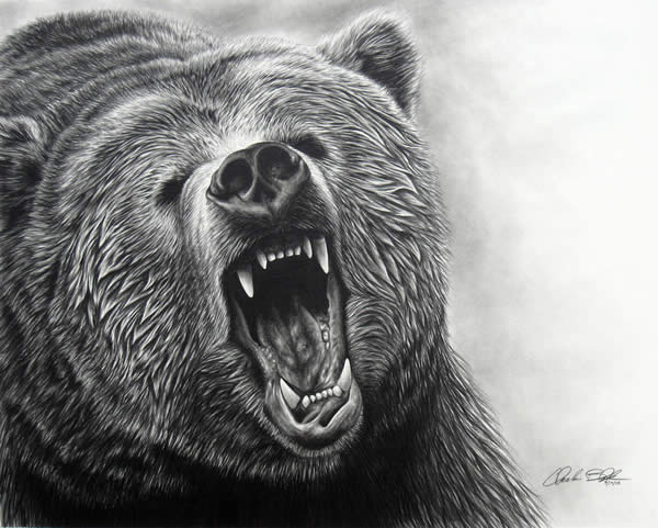 Realistic Animal Drawings - XciteFun.net