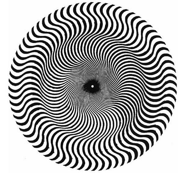 Magical Images and Optical Illusions - XciteFun.net