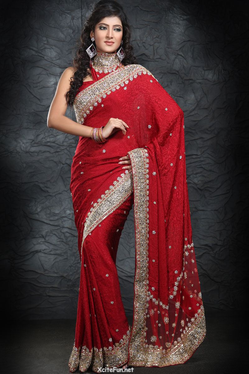 Perfect Heavy work Saree for Bridal Wear - XciteFun.net