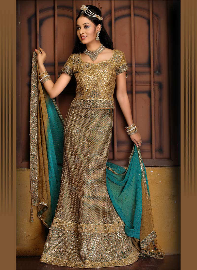 beautiful choli