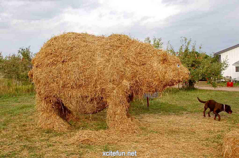 http://img.xcitefun.net/users/2010/08/200360,xcitefun-straw-art-8.jpg