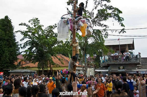 Panjat Pinang – National Tradition of Indonesia - XciteFun.net