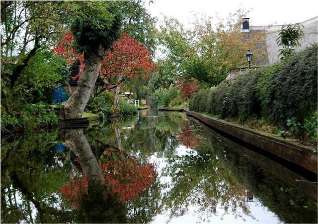 town-with-no-roads-all-greenery-and-zero-pollution-xcitefun