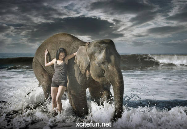 Girl And Elephant - XciteFun.net