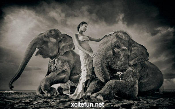 Girl And Elephant - XciteFun.net