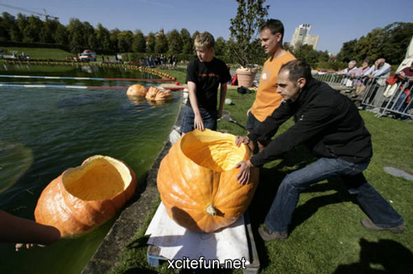 Giant Pumpkin Boat Race - Sports Festival - XciteFun.net