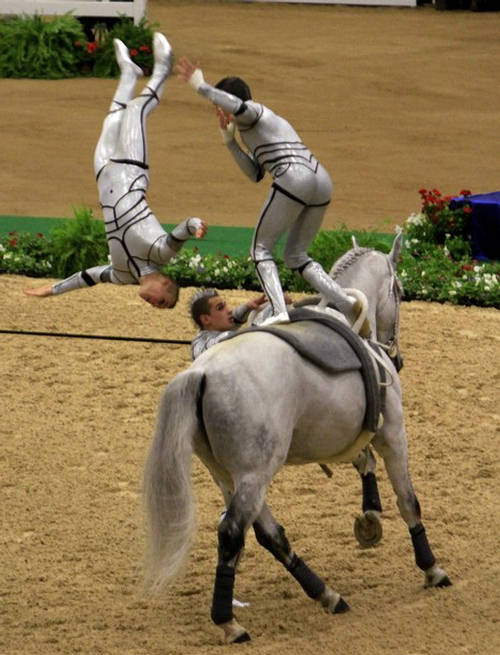 Equestrian Vaulting World Equestrian Games 2010