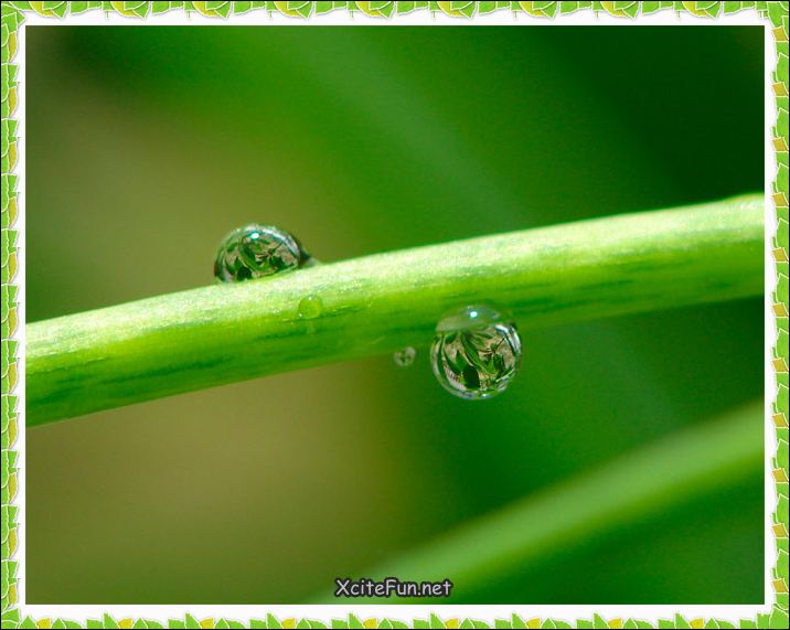 Most Beautiful Water Drops Photography - XciteFun.net