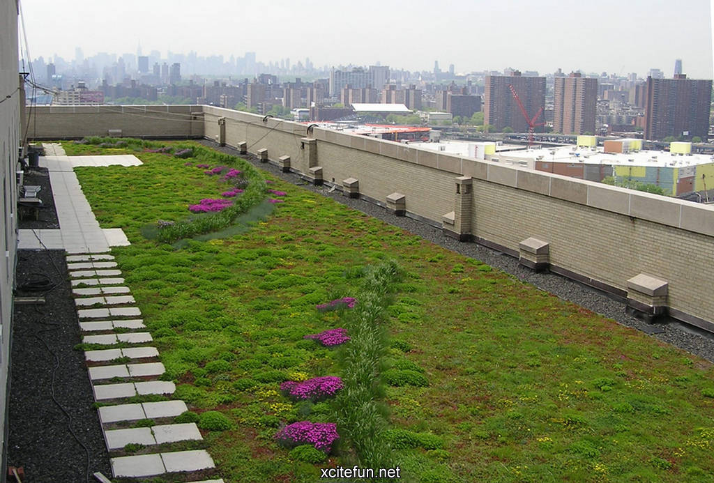 Green Grass Houses - Beautiful Green Houses - XciteFun.net