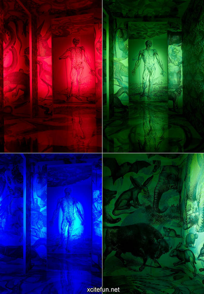 Different Color Lights RGB On Art Painting - Light Art - XciteFun.net