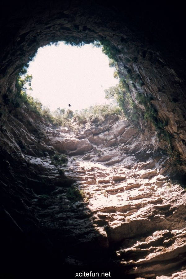 Cave Of Swallows Mexico - Full of Adventure - XciteFun.net