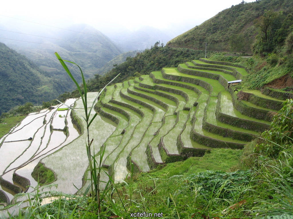 Banaue Rice Terraces Philippines - Cultural Treasure - XciteFun.net