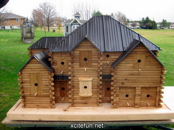 Beautiful Birdhouse - Wood Mansion For Birds - XciteFun.net