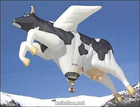 Hot Air Balloons - Funny Designs - XciteFun.net