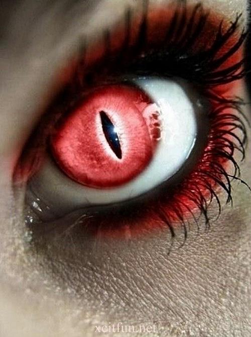 Amazing Eye Makeup - XciteFun.net