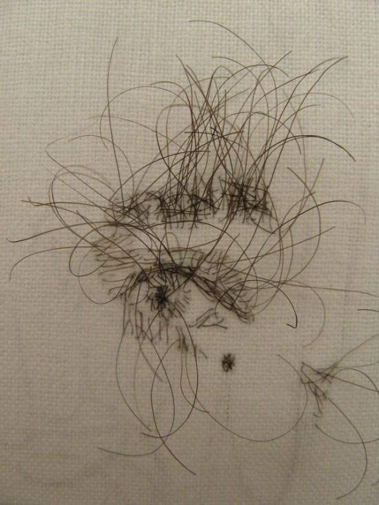 Human Hair Embroidery - Hairy Art.
