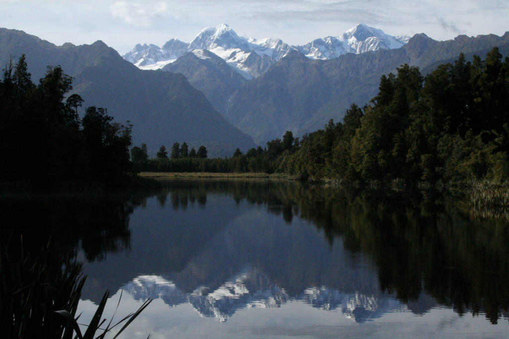 Lake Matheson - Images n Details - Fresh Water - XciteFun.net