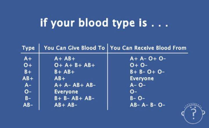 your-blood-type-xcitefun