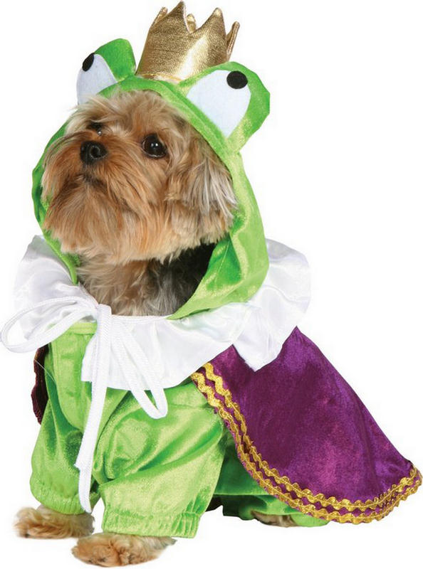 Funny Halloween Dog Costumes - XciteFun.net