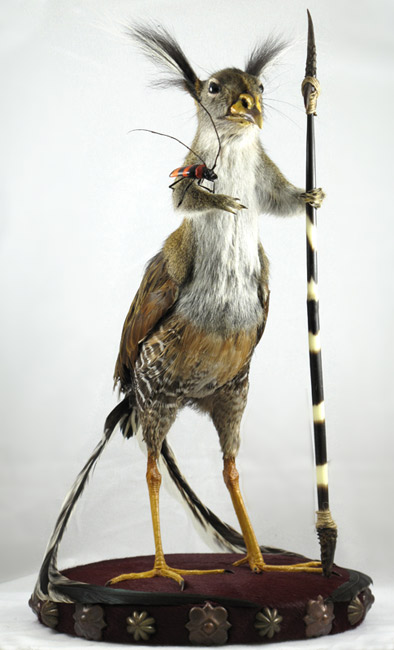 Extremely Creepy Taxidermy Most Amazing Xcitefun Net