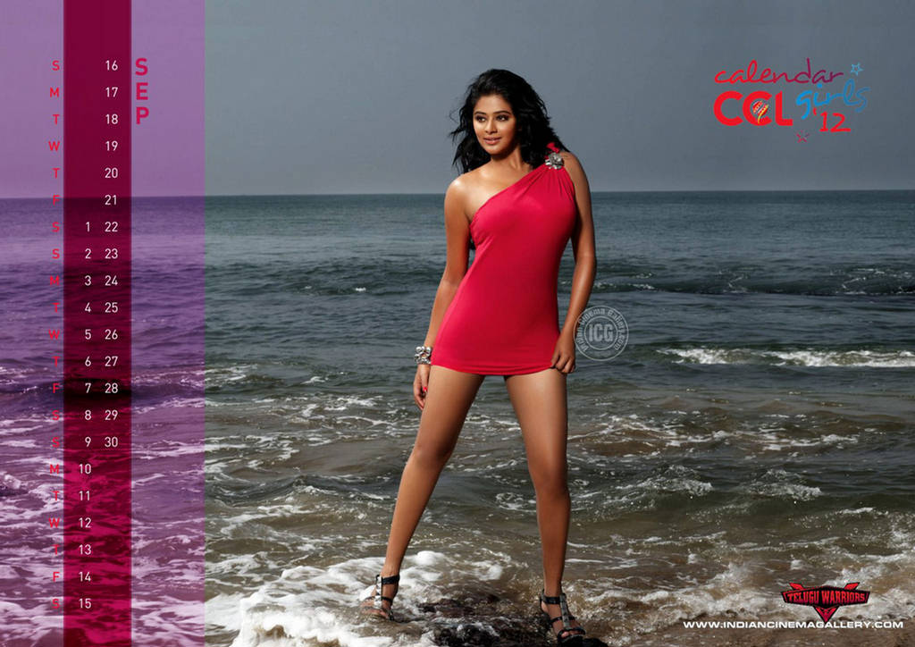 Bollywood CCL Calendar 2012 - HQ Images - XciteFun.net
