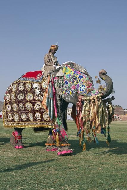 Jaipur Elephant Festival - XciteFun.net