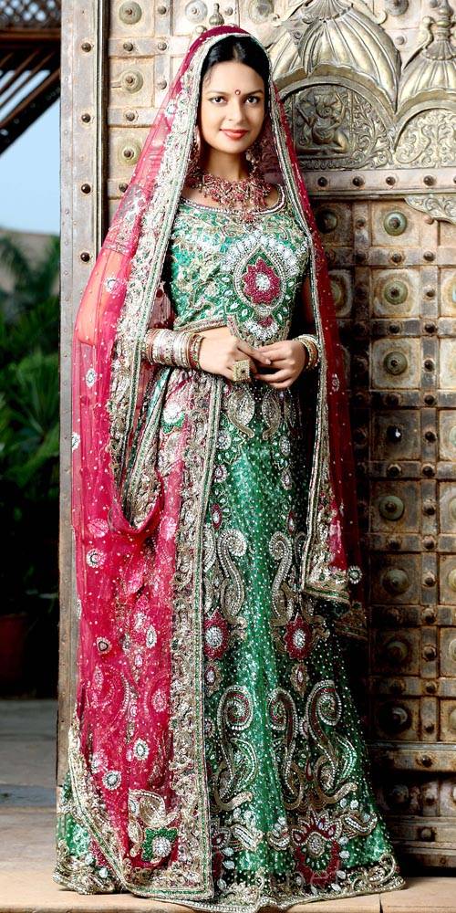 beautiful choli
