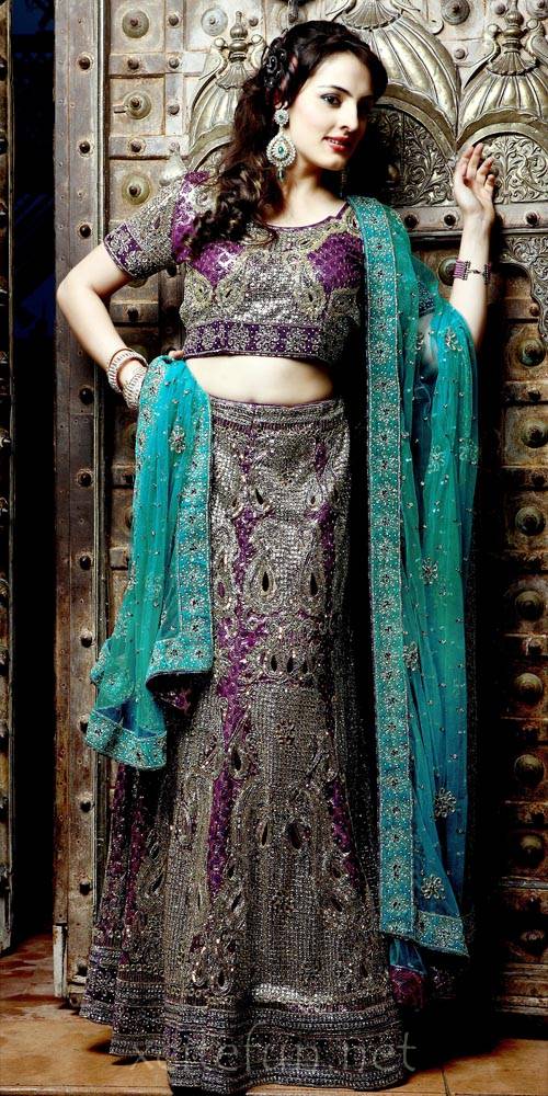 beautiful choli