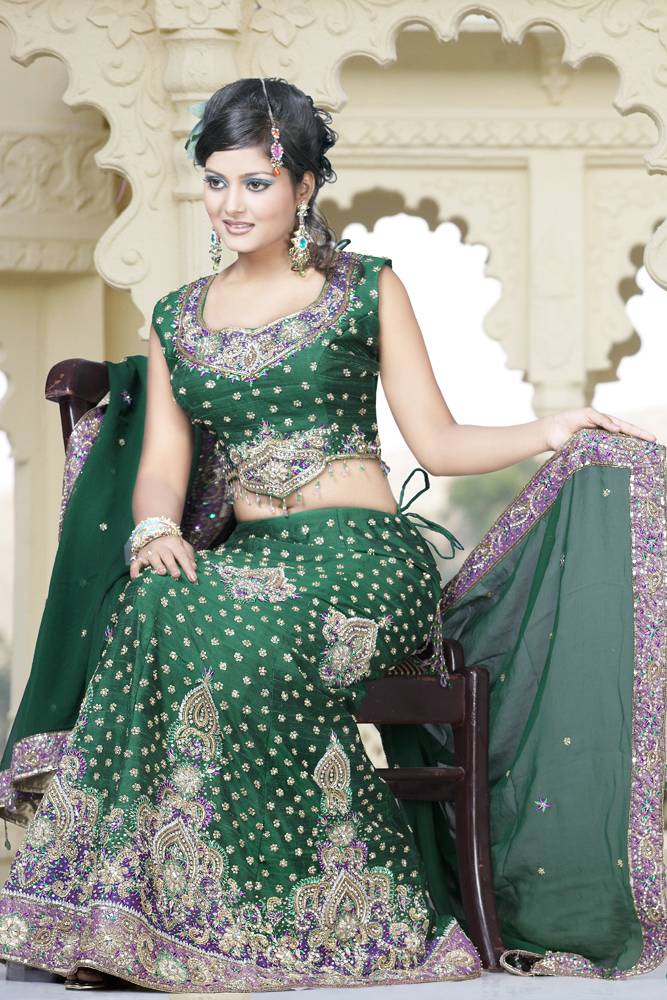 beautiful choli