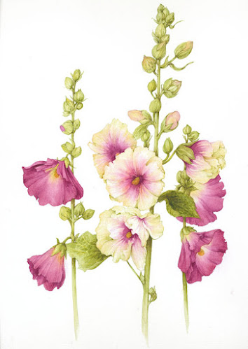 Botanical Paintings - XciteFun.net