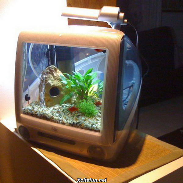 iMac Fish Tanks - XciteFun.net