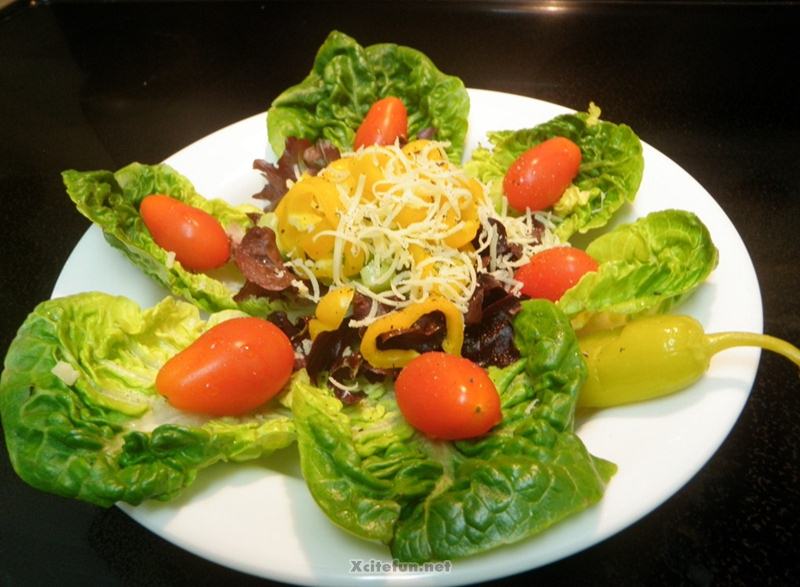 Top Favorite And Most Eatable Salad Types - XciteFun.net