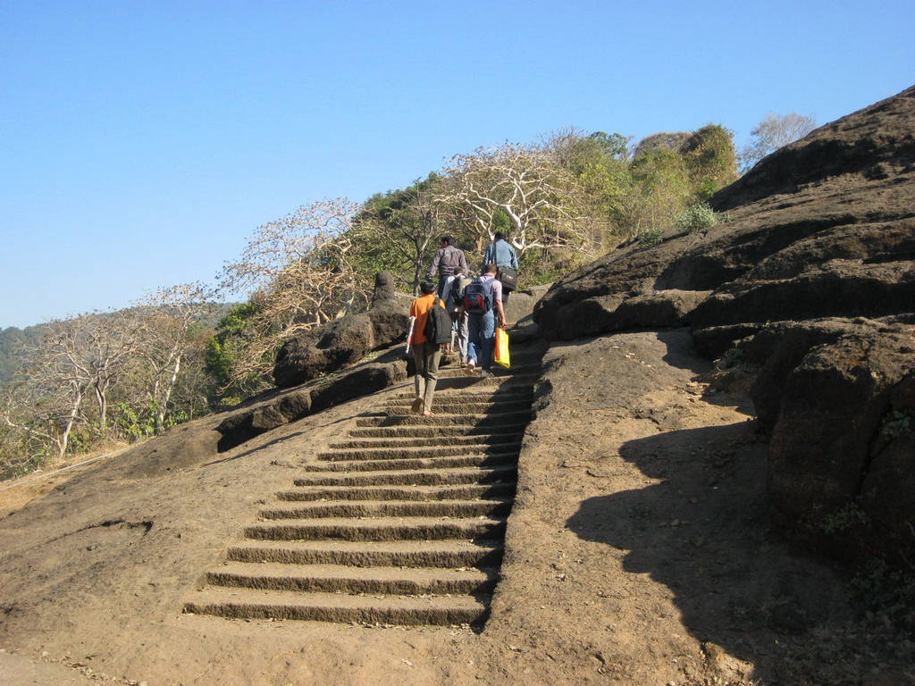 Sanjay Gandhi National Park - XciteFun.net