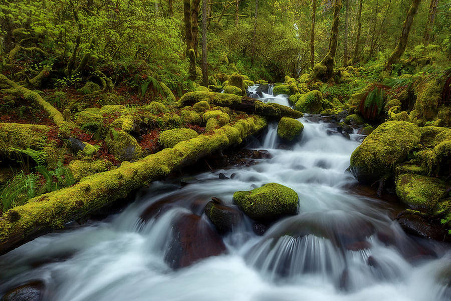 Emerald Gorge River - Columbia Paradise - XciteFun.net