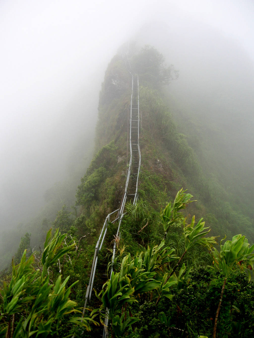 Haiku Stairs Steep Hiking Trail