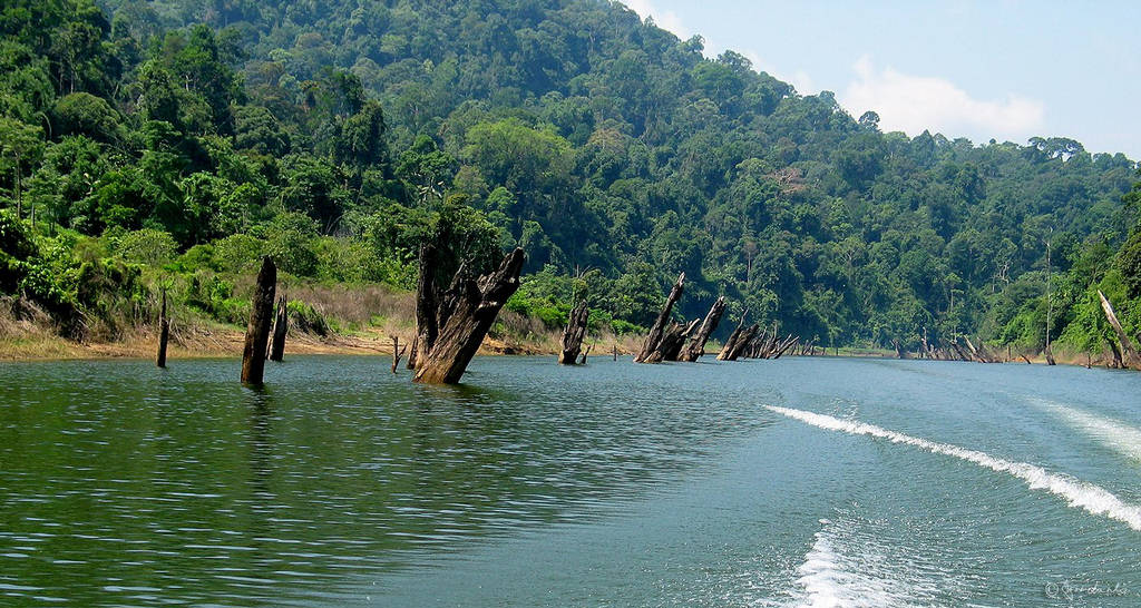 Kenyir Lake Malaysia - Name Of Beauty - XciteFun.net