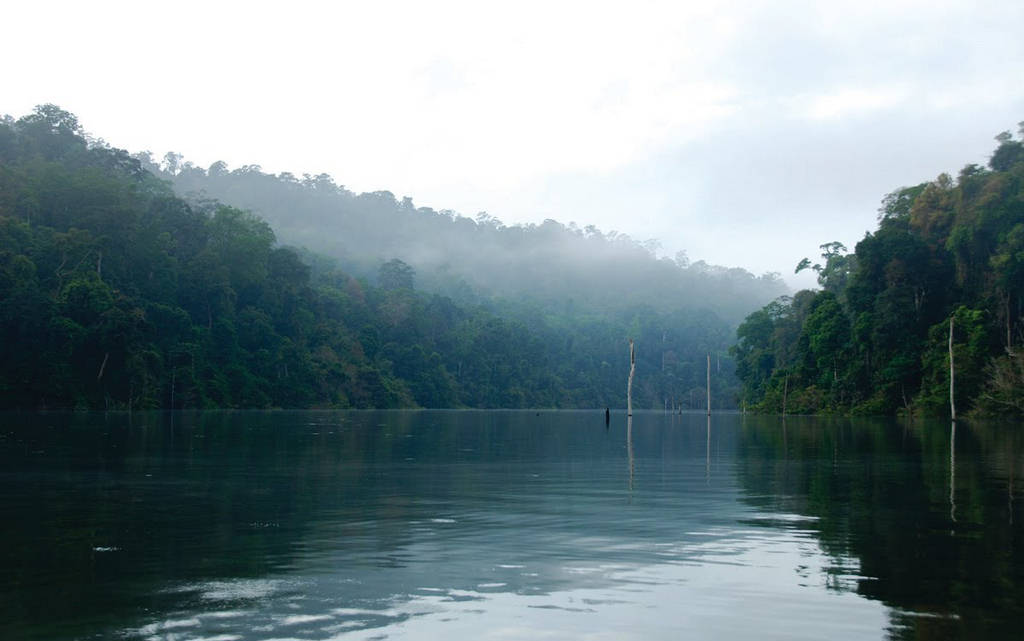 Temenggor Lake Images - Malaysia - XciteFun.net