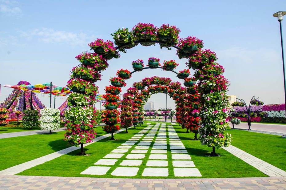 Dubai Miracle Garden - World Biggest Flower Garden - XciteFun.net