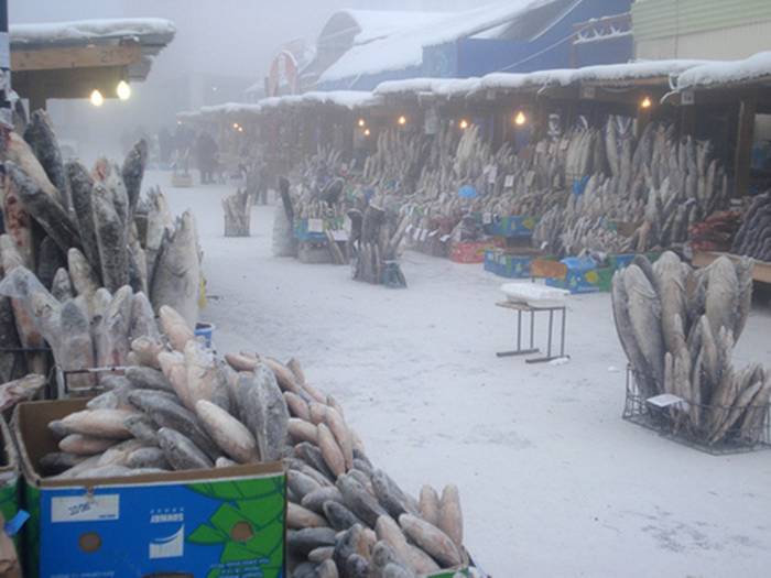 Coldest City In The World - Yakutsk Siberia - XciteFun.net