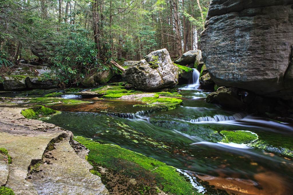 Blackwater Falls State Park USA Images Detail XciteFun net