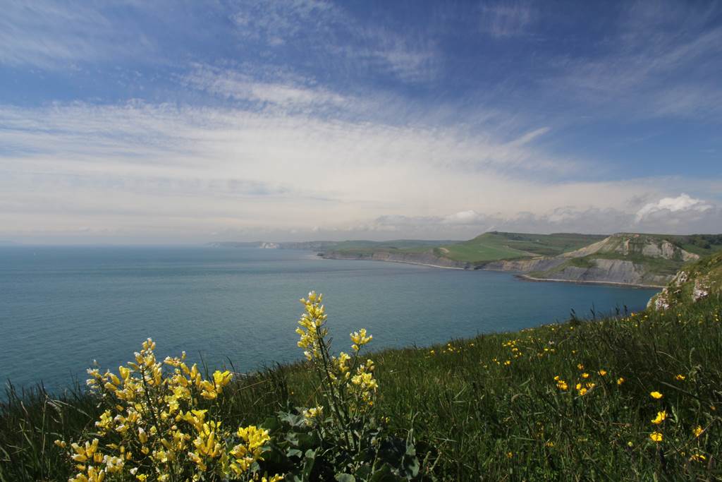 Jurassic Coast England - Images n Detail - XciteFun.net